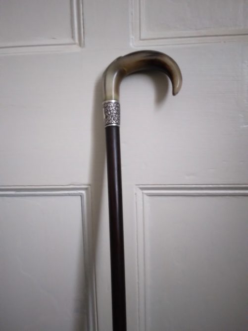 Victorian horn walking cane - Image 4