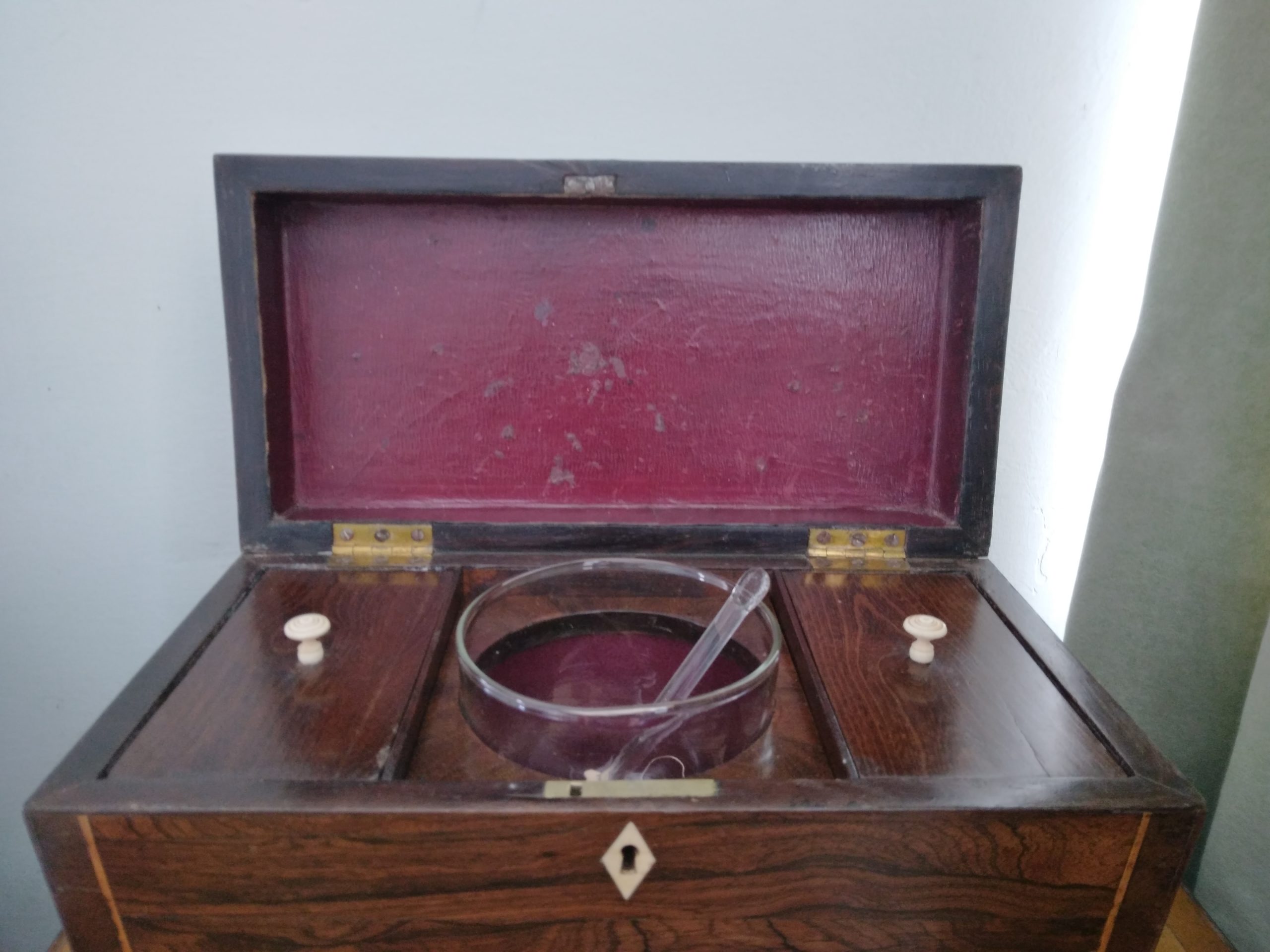 Regency William 1V rosewood tea caddy - Image 2