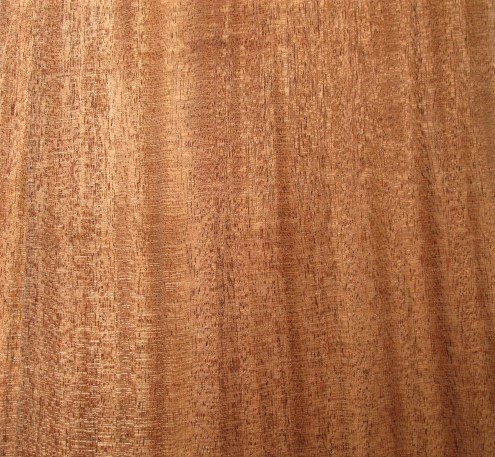African mahogany veneer , large leaves