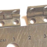 Lions paw feet medium